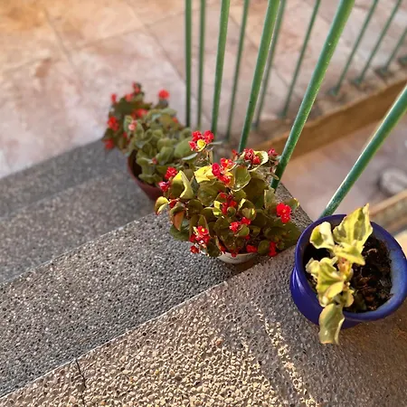 Apartment Colosseum Retreat Pula