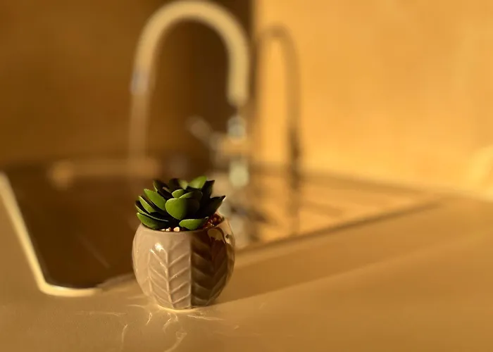 Colosseum Retreat * Pola