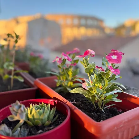 Colosseum Retreat Lejlighed *