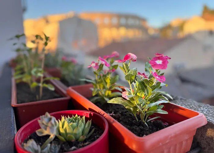 Colosseum Retreat Lejlighed *